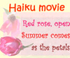 Lnk to Haiku movie